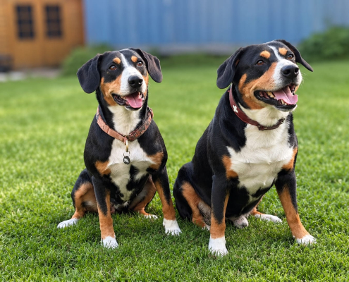Elvy und Bryant